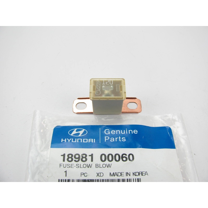 120 Amp Slow-blow Fuse 120A OEM For Hyundai 1898100060